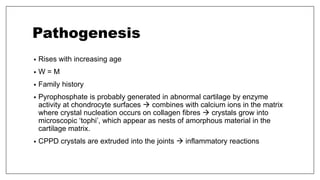 Pathogenesis
• Rises with increasing age
• W = M
• Family history
• Pyrophosphate is probably generated in abnormal cartilage by enzyme
activity at chondrocyte surfaces  combines with calcium ions in the matrix
where crystal nucleation occurs on collagen fibres  crystals grow into
microscopic ‘tophi’, which appear as nests of amorphous material in the
cartilage matrix.
• CPPD crystals are extruded into the joints  inflammatory reactions
 