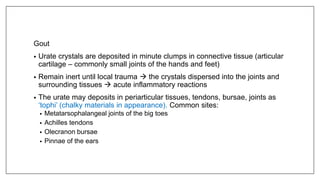 Gout
• Urate crystals are deposited in minute clumps in connective tissue (articular
cartilage – commonly small joints of the hands and feet)
• Remain inert until local trauma  the crystals dispersed into the joints and
surrounding tissues  acute inflammatory reactions
• The urate may deposits in periarticular tissues, tendons, bursae, joints as
‘tophi’ (chalky materials in appearance). Common sites:
• Metatarsophalangeal joints of the big toes
• Achilles tendons
• Olecranon bursae
• Pinnae of the ears
 