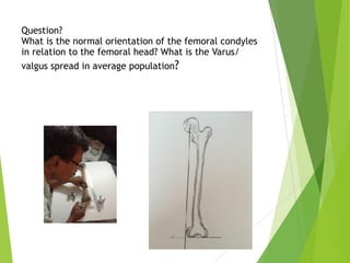 Question? 
What is the normal orientation of the femoral condyles
in relation to the femoral head? What is the Varus/
valgus spread in average population?
 