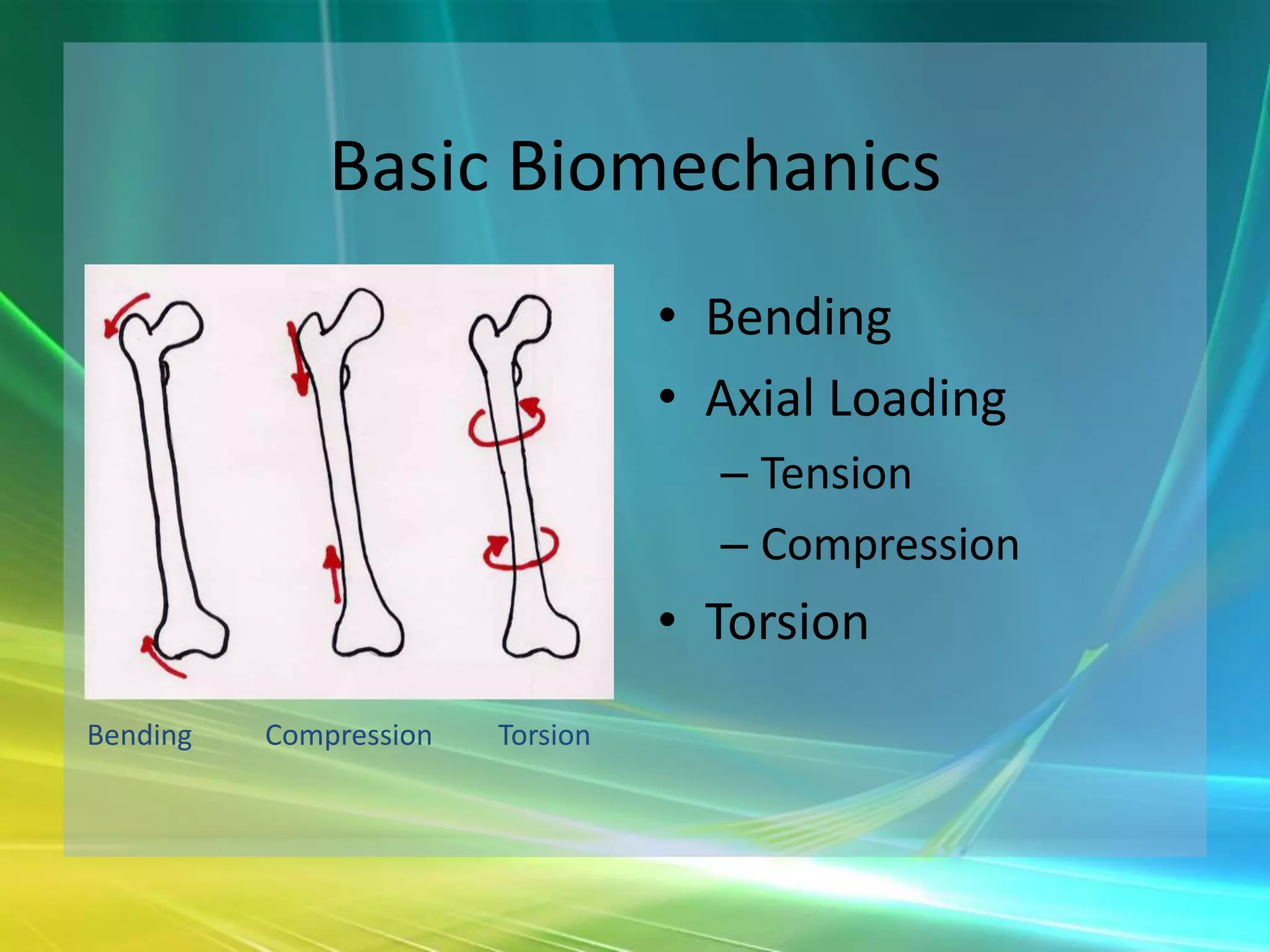 Basic Biomechanics
                                  • Bending
                                  • Axial Loading
                                    – Tension
                                    – Compression
                                  • Torsion
Bending   Compression   Torsion
 