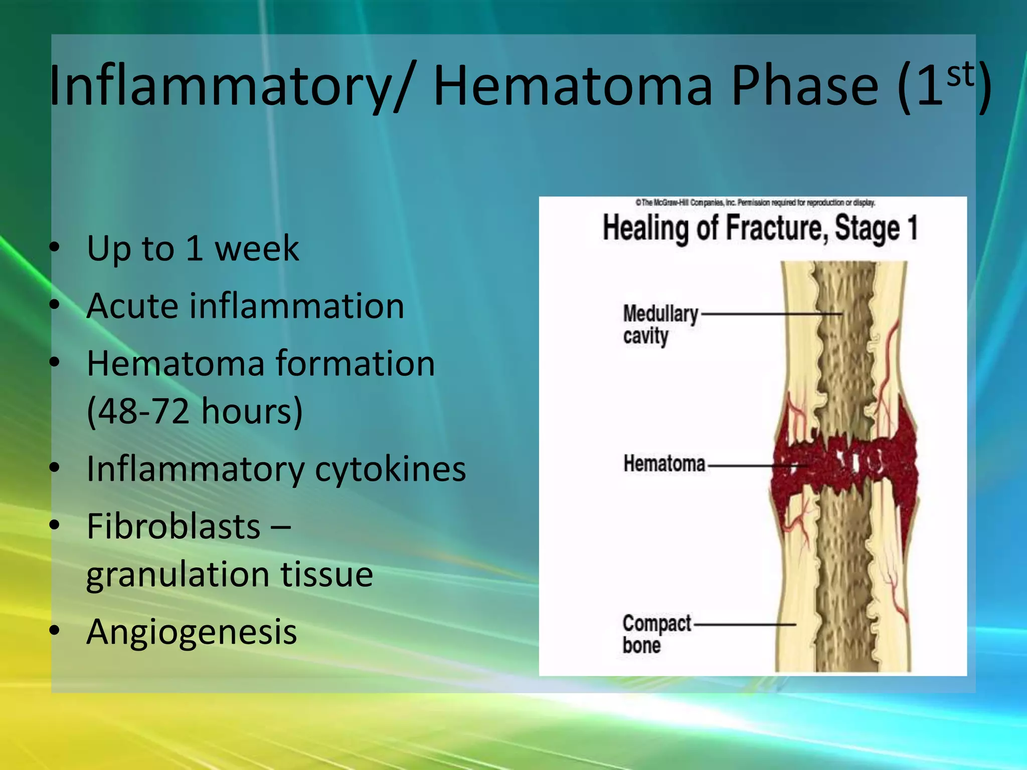 Inflammatory/ Hematoma Phase (1st)

• Up to 1 week
• Acute inflammation
• Hematoma formation
  (48-72 hours)
• Inflammatory cytokines
• Fibroblasts –
  granulation tissue
• Angiogenesis
 