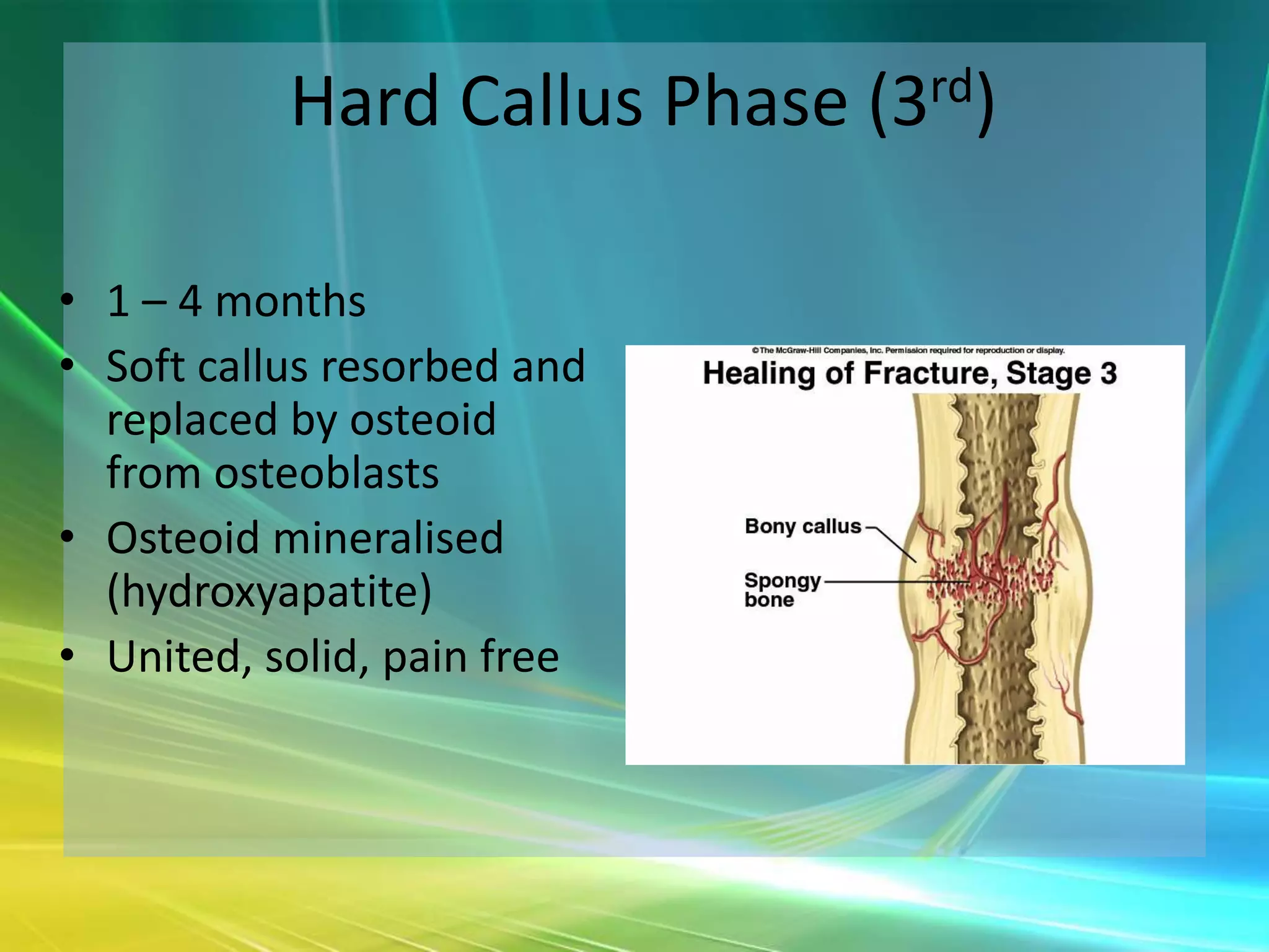 Hard Callus Phase (3rd)

• 1 – 4 months
• Soft callus resorbed and
  replaced by osteoid
  from osteoblasts
• Osteoid mineralised
  (hydroxyapatite)
• United, solid, pain free
 
