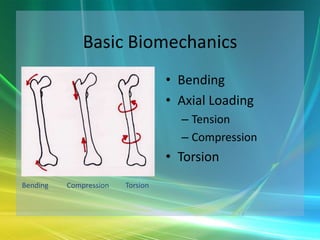Orthopaedic Trauma - The Basics | PPTX
