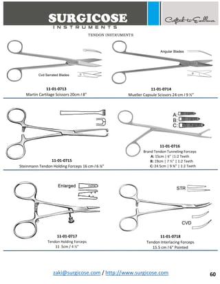 Orthopedic Basic Instruments Names BASIC ORTHOPEDIC INSTRUMENTS | PDF