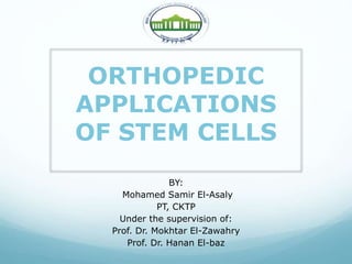 ORTHOPEDIC
APPLICATIONS
OF STEM CELLS
BY:
Mohamed Samir El-Asaly
PT, CKTP
Under the supervision of:
Prof. Dr. Mokhtar El-Zawahry
Prof. Dr. Hanan El-baz
 