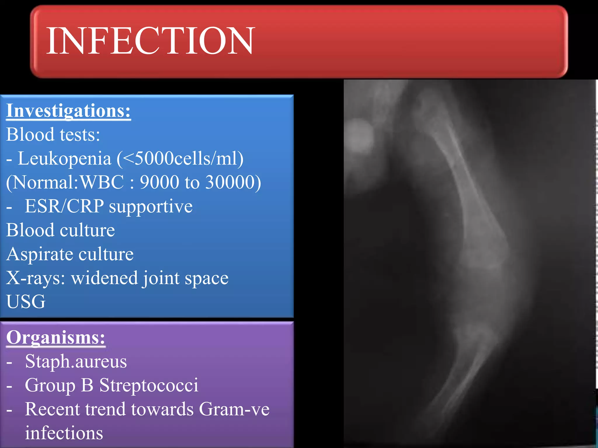 INFECTION
Investigations:
Blood tests:
- Leukopenia (<5000cells/ml)
(Normal:WBC : 9000 to 30000)
- ESR/CRP supportive
Blood culture
Aspirate culture
X-rays: widened joint space
USG
Organisms:
- Staph.aureus
- Group B Streptococci
- Recent trend towards Gram-ve
infections
 