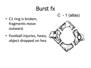 Burst fx
• C1 ring is broken,
fragments move
outward.
• Football injuries, heavy
object dropped on head.
C - 1 (atlas)
 