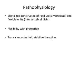 Pathophysiology
• Elastic rod constructed of rigid units (vertebrae) and
flexible units (intervertebral disks)
• Flexibility with protection
• Truncal muscles help stabilize the spine
 