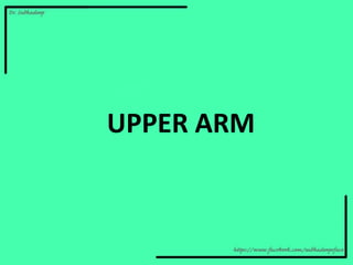UPPER ARM
 