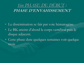 1ère PHASE DE DÉBUT :
PHASE D’ENVAHISSEMENT
• La dissémination se fait par voie hématogène.
• Le BK atteint d’abord le corps vertébral puis le
disque adjacent.
• Cette phase dure quelques semaines voir quelque
mois
 