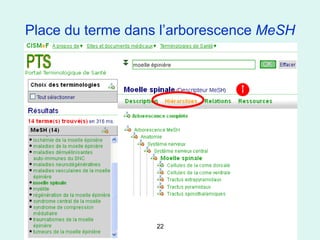 Place du terme dans l’arborescence MeSH




                   22
 