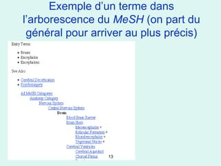 Exemple d’un terme dans
l’arborescence du MeSH (on part du
 général pour arriver au plus précis)




                 13
 