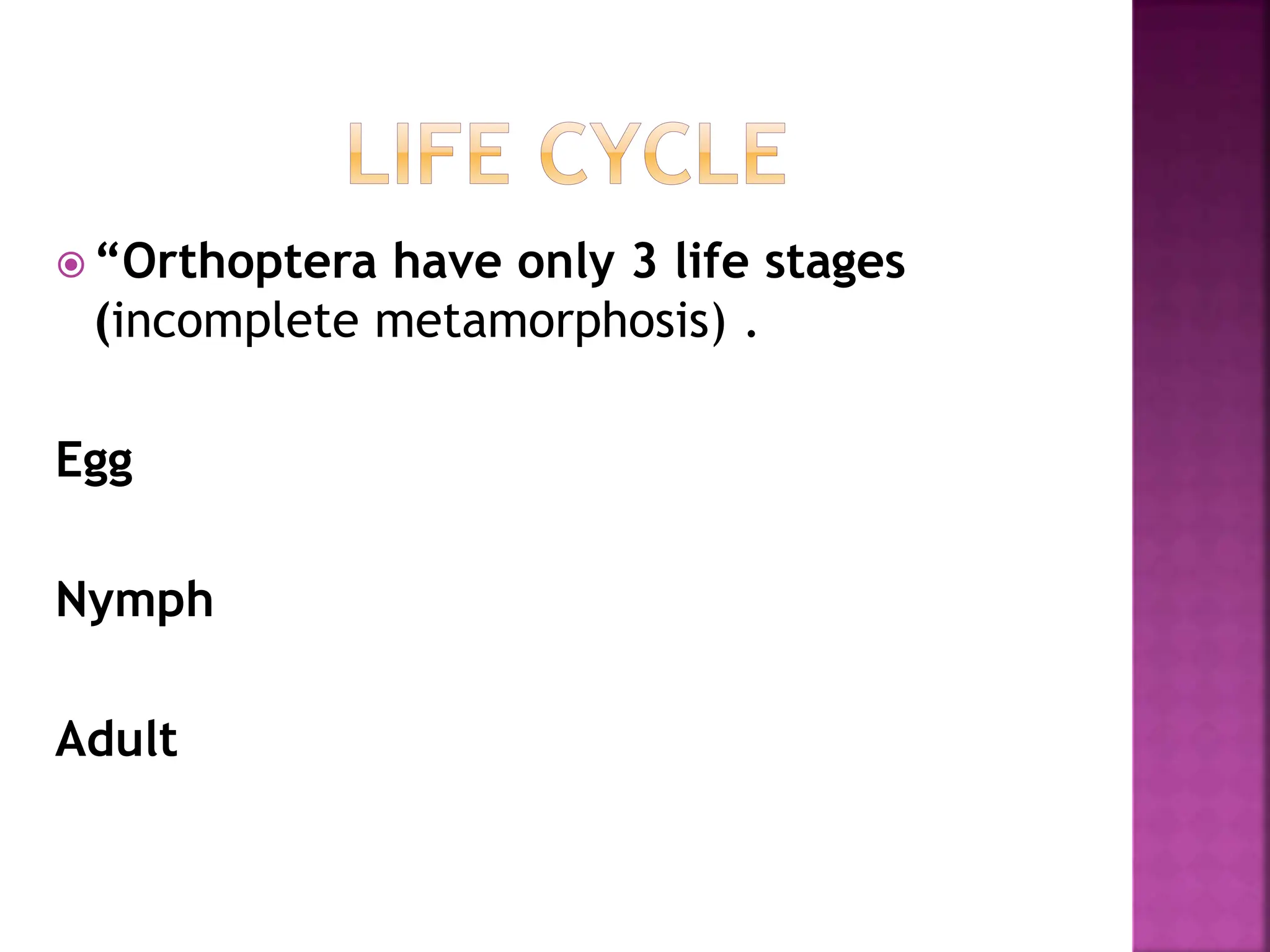 orthoptera-190428124130-pdf-free-download