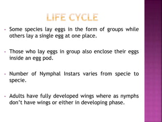 • Some species lay eggs in the form of groups while
others lay a single egg at one place.
• Those who lay eggs in group also enclose their eggs
inside an egg pod.
• Number of Nymphal Instars varies from specie to
specie.
• Adults have fully developed wings where as nymphs
don’t have wings or either in developing phase.
 
