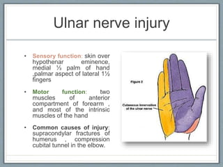 Peripheral nerve injuries | PPTX