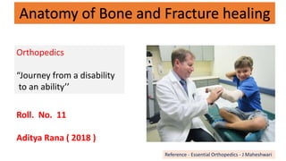 Anatomy of Bone and Fracture healing
Orthopedics
“Journey from a disability
to an ability’’
Roll. No. 11
Aditya Rana ( 2018 )
Reference - Essential Orthopedics - J Maheshwari
 