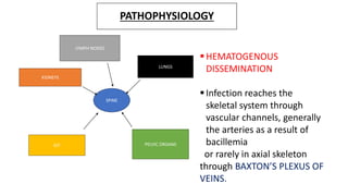 PATHOPHYSIOLOGY
SPINE
LYMPH NODES
KIDNEYS
LUNGS
GIT PELVIC ORGANS
HEMATOGENOUS
DISSEMINATION
Infection reaches the
skeletal system through
vascular channels, generally
the arteries as a result of
bacillemia
or rarely in axial skeleton
through BAXTON’S PLEXUS OF
VEINS.
 
