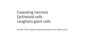Caseating necrosis
Epitheloid cells
Langhans giant cells
are the Three Typical Hallmark Features of Tuberculosis
 