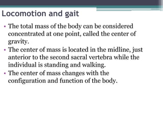 Locomotion and gait
• The total mass of the body can be considered
concentrated at one point, called the center of
gravity.
• The center of mass is located in the midline, just
anterior to the second sacral vertebra while the
individual is standing and walking.
• The center of mass changes with the
configuration and function of the body.
 