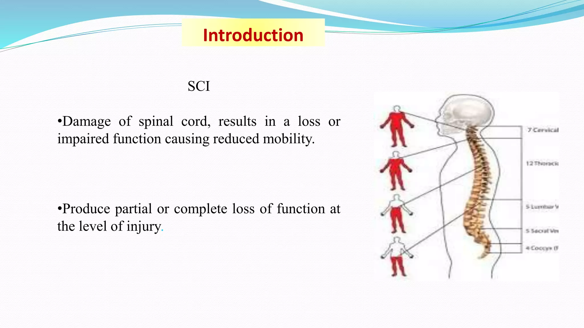 Sci Excessive Rotation Orthotic assessment & orthotic aids in sci | PPTX