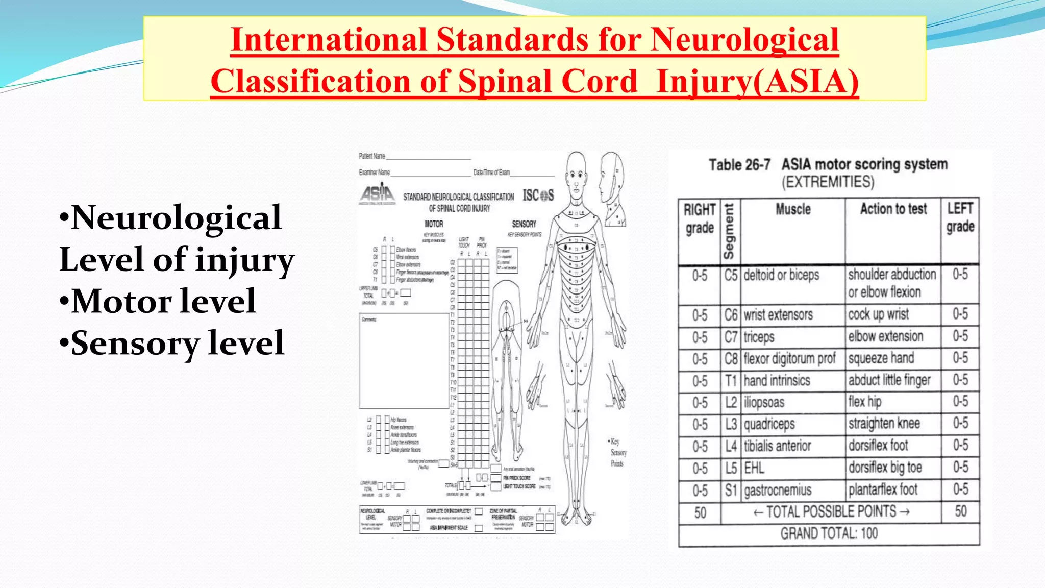 Orthotic assessment & orthotic aids in sci | PPTX