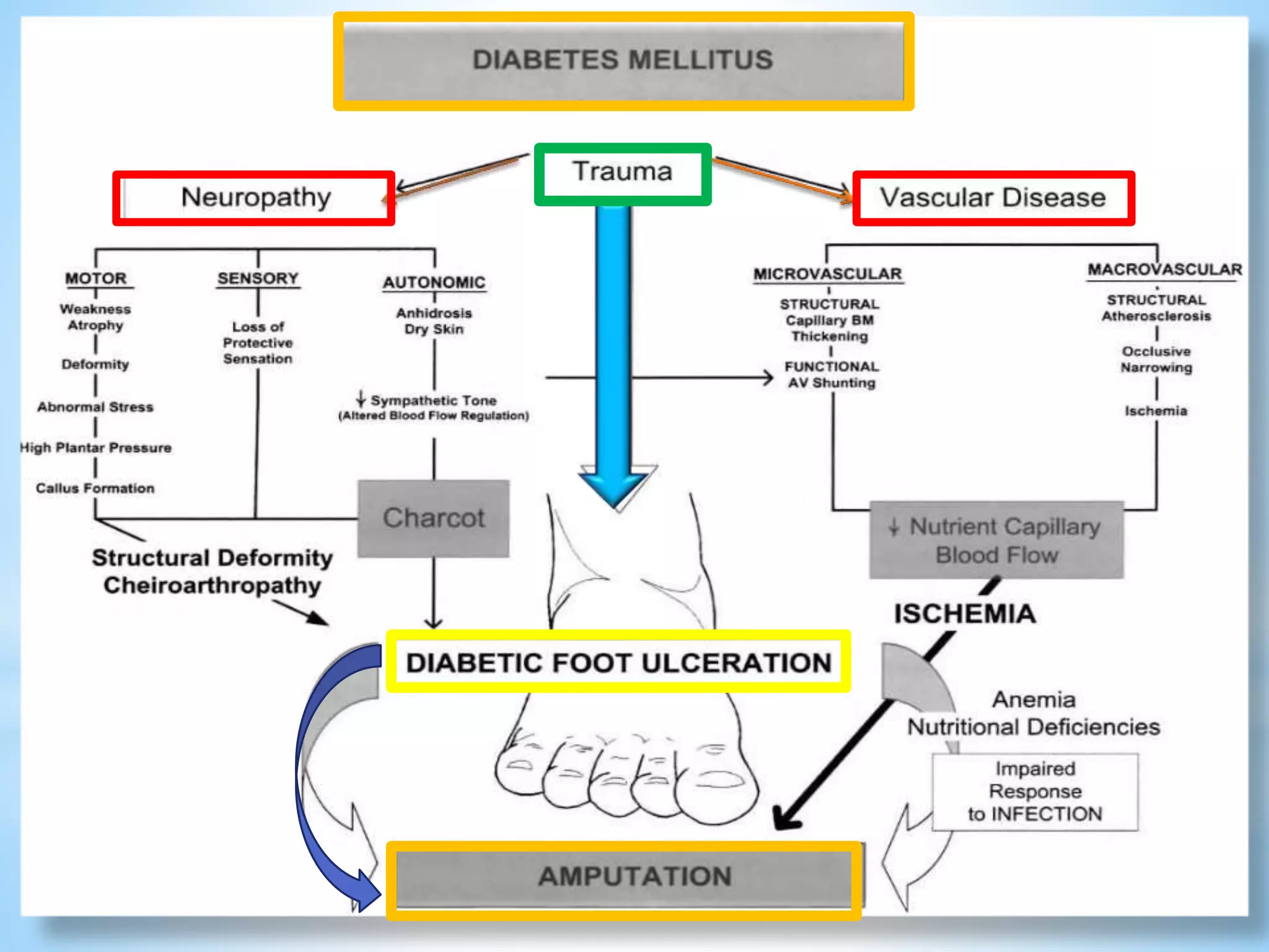 Orthotic management of diabetes mellitus foot | PPTX