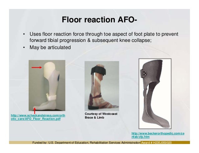 Introd Amp Ll Orthosis Dr Aliaa