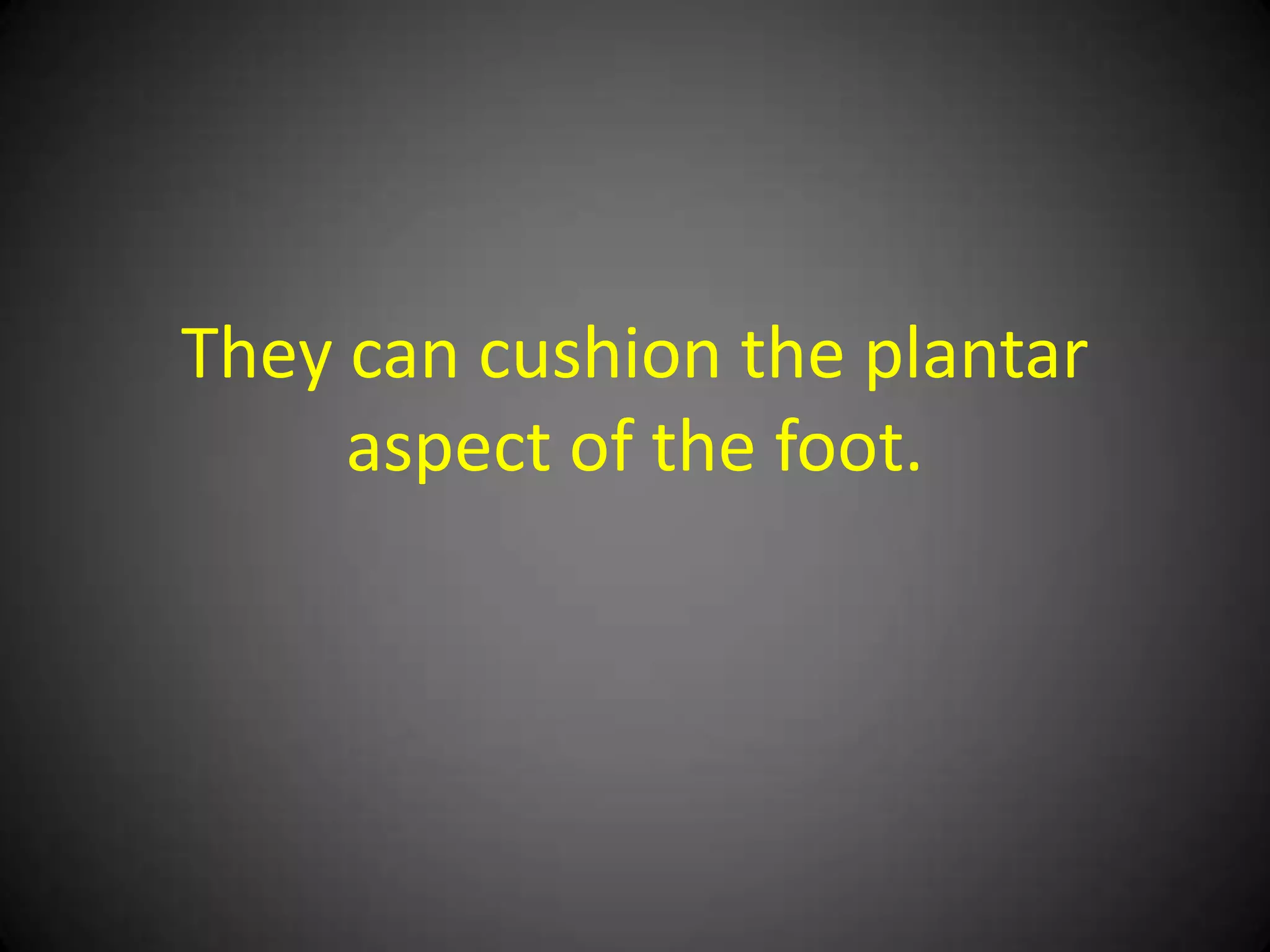 They can possibly help to rebalance
   the center of gravity but the
        evidence is weak.
 