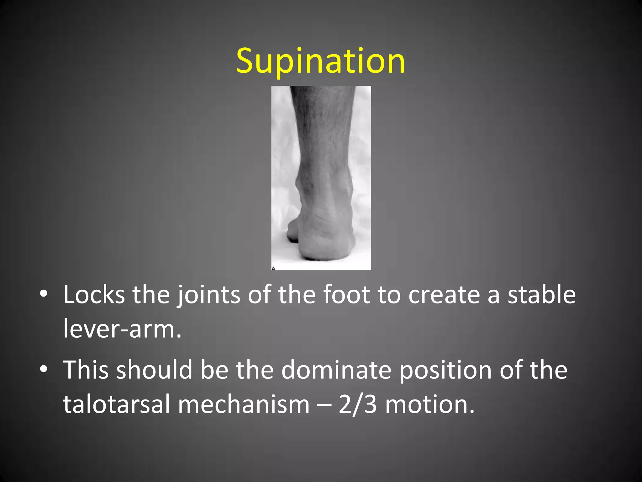 Supination




• Locks the joints of the foot to create a stable
  lever-arm.
• This should be the dominate position of the
  talotarsal mechanism – 2/3 motion.
 