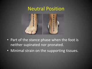 Neutral Position




• Part of the stance phase when the foot is
  neither supinated nor pronated.
• Minimal strain on the supporting tissues.
 