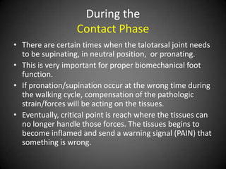 During the
                  Contact Phase
• There are certain times when the talotarsal joint needs
  to be supinating, in neutral position, or pronating.
• This is very important for proper biomechanical foot
  function.
• If pronation/supination occur at the wrong time during
  the walking cycle, compensation of the pathologic
  strain/forces will be acting on the tissues.
• Eventually, critical point is reach where the tissues can
  no longer handle those forces. The tissues begins to
  become inflamed and send a warning signal (PAIN) that
  something is wrong.
 