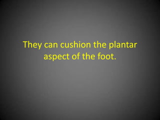 They can possibly help to rebalance
   the center of gravity but the
        evidence is weak.
 