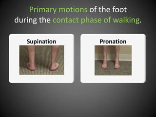 The difference between supination and pronation - Carl Todd Clinic