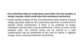 • Care should be taken to avoid deep suture bites into the complex or
levator muscles, which could injure the continence mechanism.
• Frozen-section analysis of the circumferential distal urethral mucosal
margin (prostatic apex) on the cystectomy specimen is performed to
exclude tumor involvement. If there is no evidence of tumor,
orthotopic reconstruction may be performed. If there is tumor at the
prostatic apex, the urethral stump can be excised or a total
urethrectomy may be performed at this time to obtain a negative
margin, and a cutaneous diversion constructed.
 