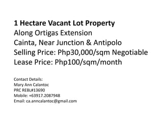 1 Hectare Vacant Lot Property
Along Ortigas Extension
Cainta, Near Junction & Antipolo
Selling Price: Php30,000/sqm Negotiable
Lease Price: Php100/sqm/month
Contact Details:
Mary Ann Calantoc
PRC REBL#13690
Mobile: +63917.2087948
Email: ca.anncalantoc@gmail.com
 