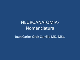 NEUROANATOMIA-
Nomenclatura
Juan Carlos Ortiz Carrillo MD. MSc.
 