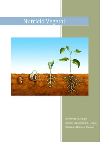 Nutrició Vegetal

Lorena Ortiz Barquier
Ciències experimentals i la seva
didàctica I. (Biologia-Química)

 