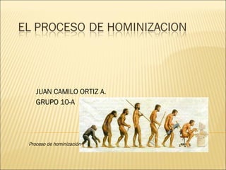 JUAN CAMILO ORTIZ A. GRUPO 10-A Proceso de hominización 