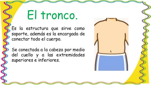 el cuerpo humano y sus partes