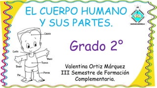 EL CUERPO HUMANO
Y SUS PARTES.
Grado 2°
Valentina Ortiz Márquez
III Semestre de Formación
Complementaria.
 