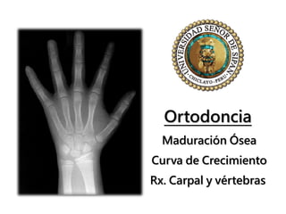 Ortodoncia
Maduración Ósea
Curva de Crecimiento
Rx. Carpal y vértebras
 
