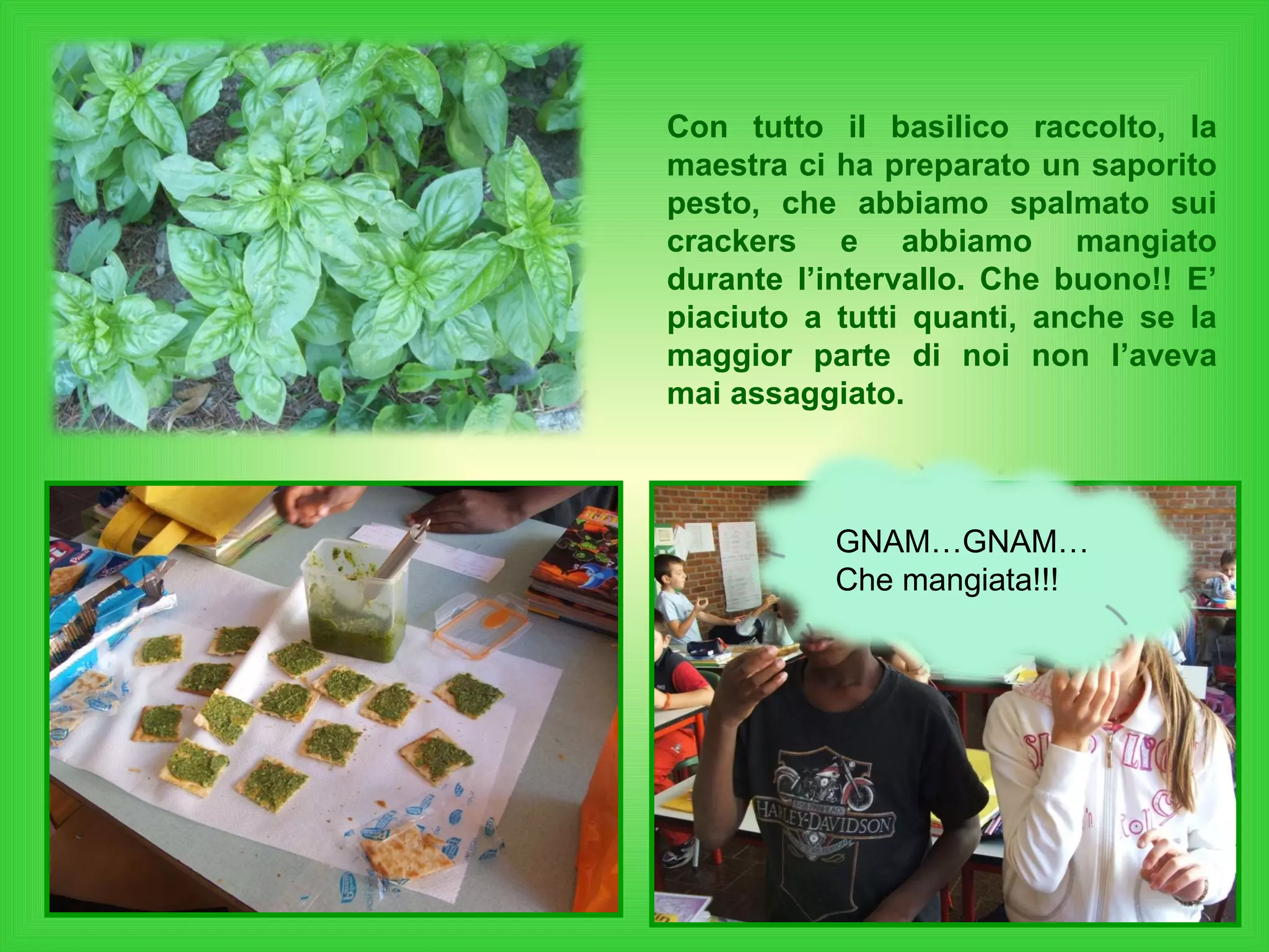 Con tutto il basilico raccolto, la maestra ci ha preparato un saporito pesto, che abbiamo spalmato sui crackers e abbiamo mangiato durante l’intervallo. Che buono!! E’ piaciuto a tutti quanti, anche se la maggior parte di noi non l’aveva mai assaggiato.  GNAM…GNAM… Che mangiata!!! 