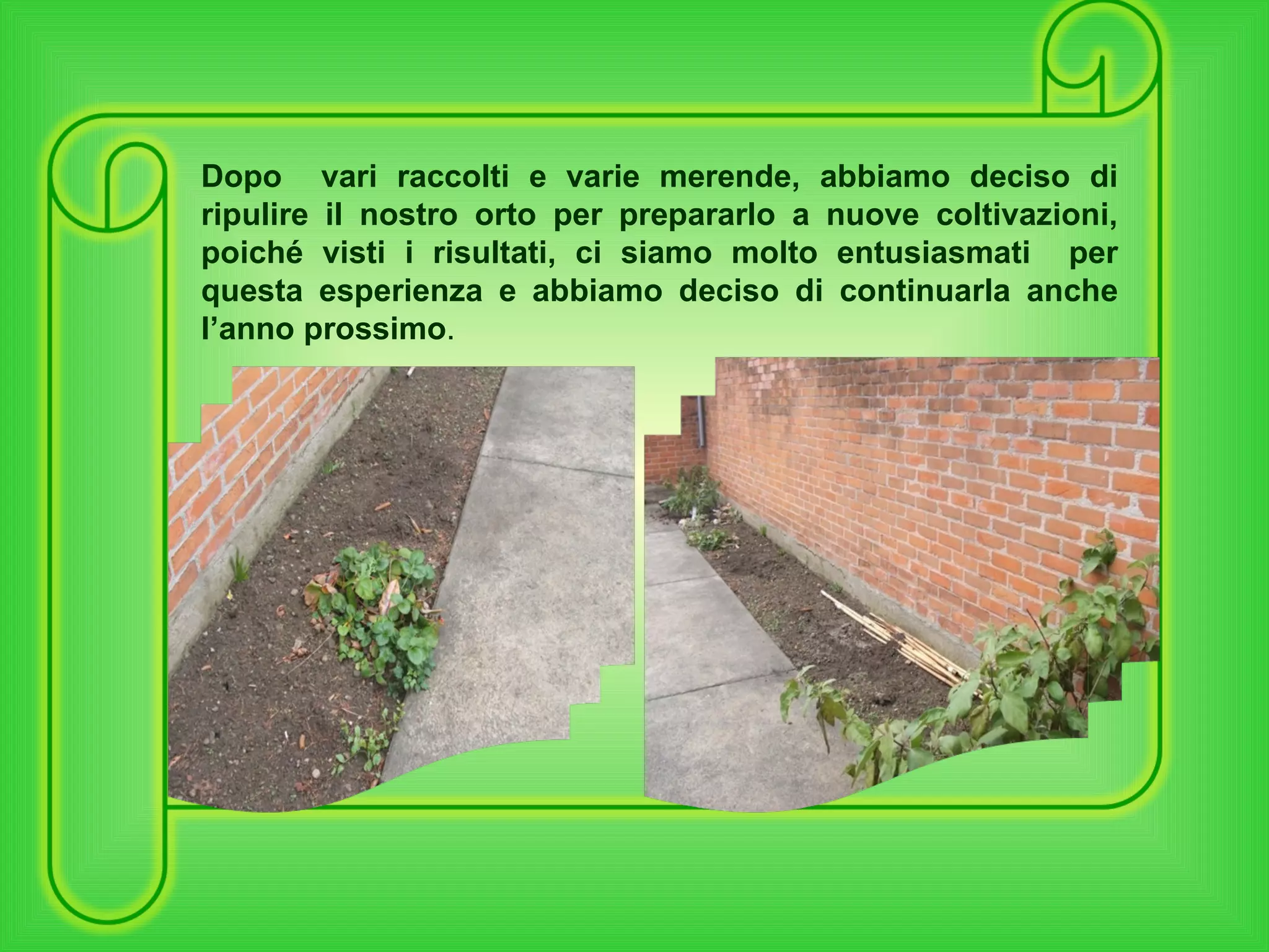 Dopo  vari raccolti e varie merende, abbiamo deciso di ripulire il nostro orto per prepararlo a nuove coltivazioni, poiché visti i risultati, ci siamo molto entusiasmati  per questa esperienza e abbiamo deciso di continuarla anche l’anno prossimo . 
