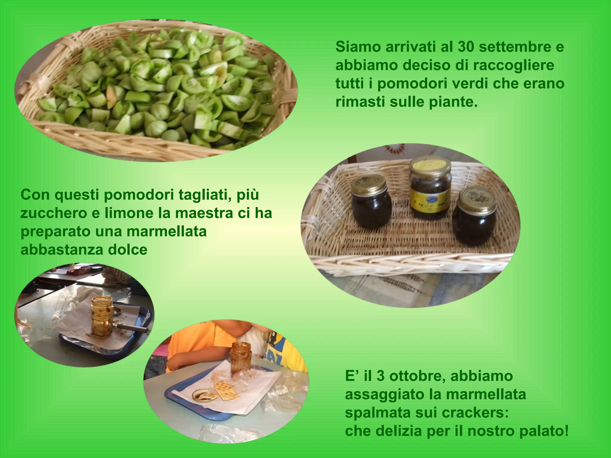 Siamo arrivati al 30 settembre e abbiamo deciso di raccogliere tutti i pomodori verdi che erano rimasti sulle piante. Con questi pomodori tagliati, più zucchero e limone la maestra ci ha preparato una marmellata abbastanza dolce E’ il 3 ottobre, abbiamo assaggiato la marmellata spalmata sui crackers:  che delizia per il nostro palato! 