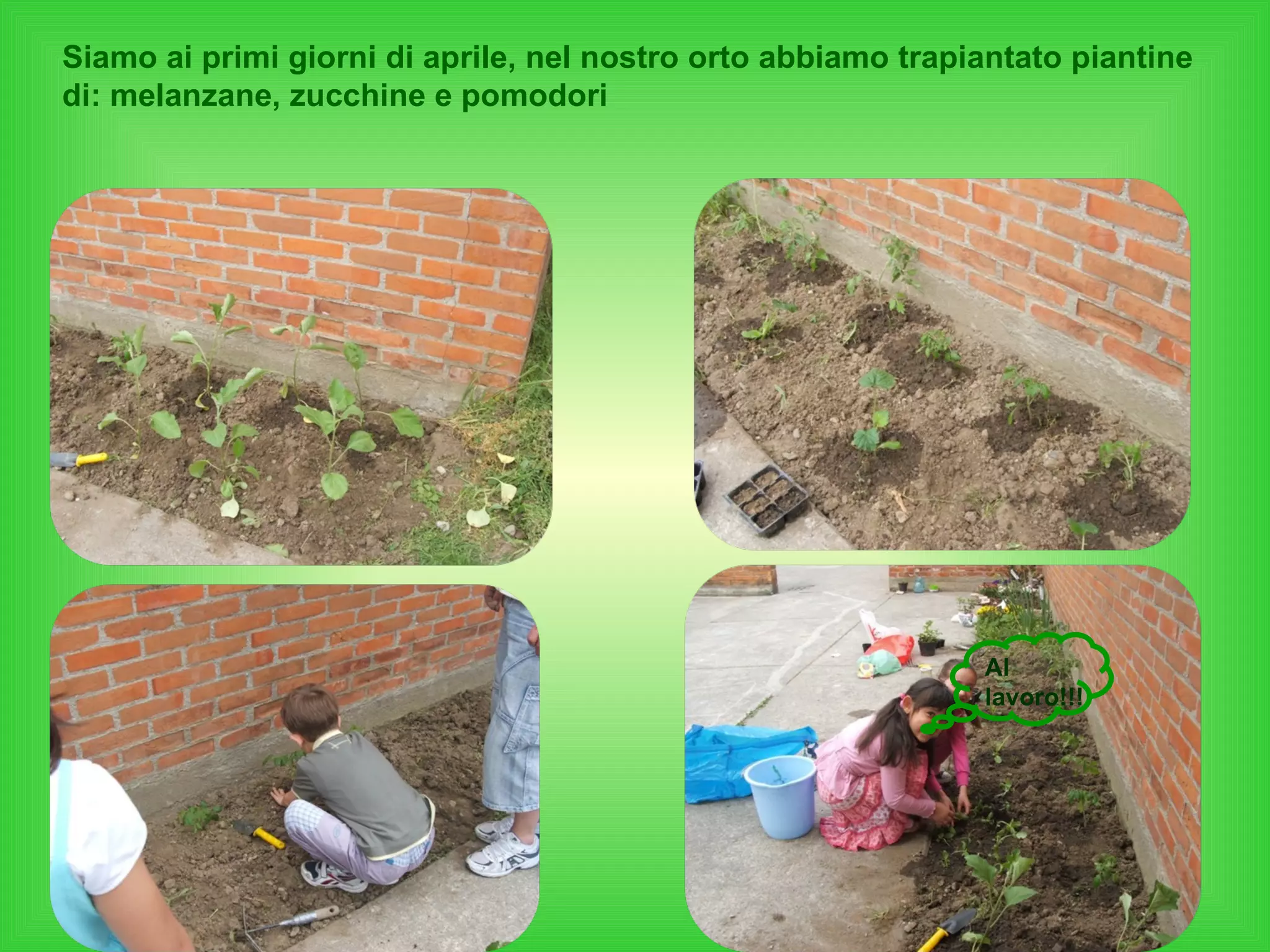 Siamo ai primi giorni di aprile, nel nostro orto abbiamo trapiantato piantine di: melanzane, zucchine e pomodori Al lavoro!!! 