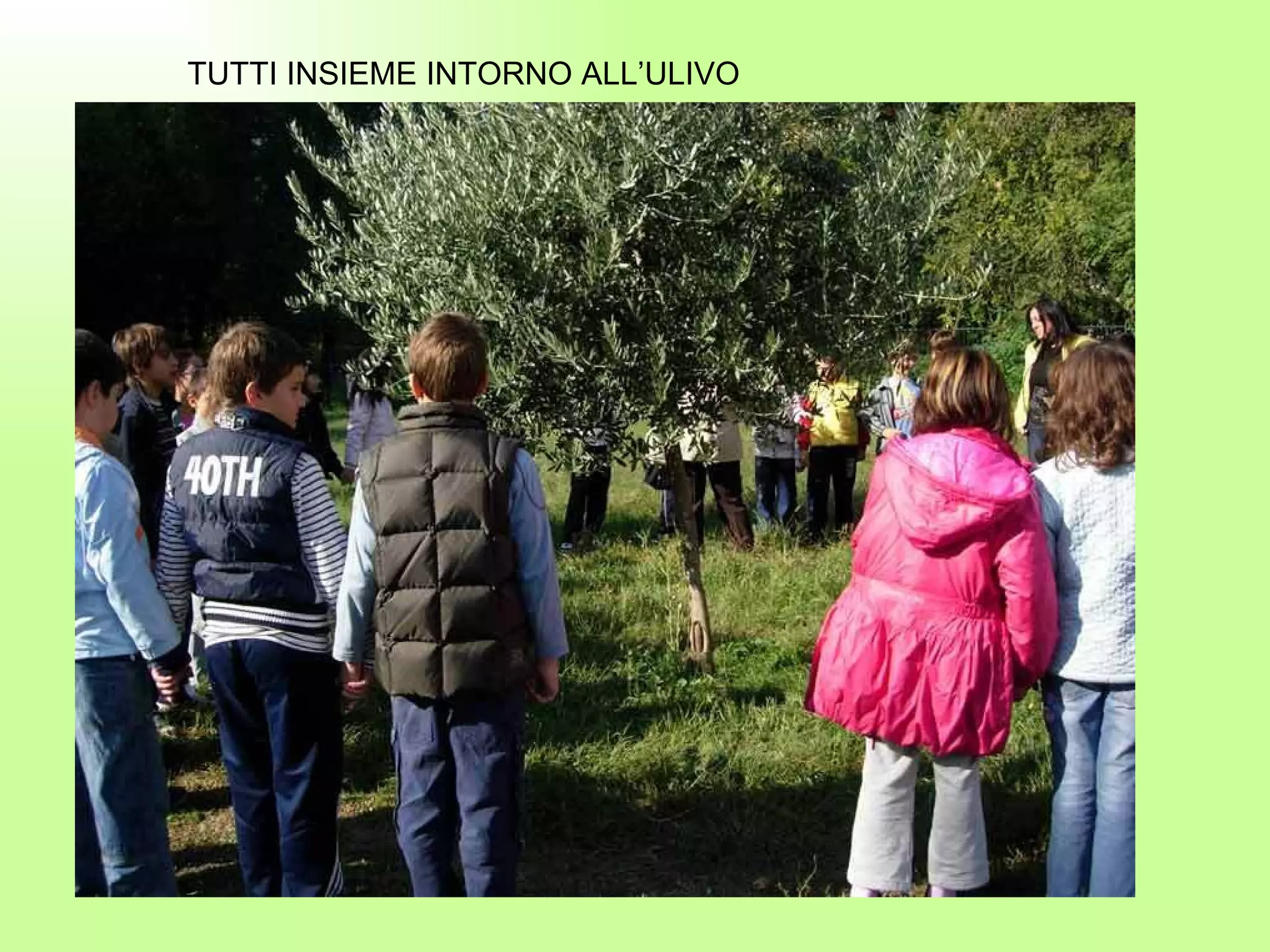TUTTI INSIEME INTORNO ALL’ULIVO 