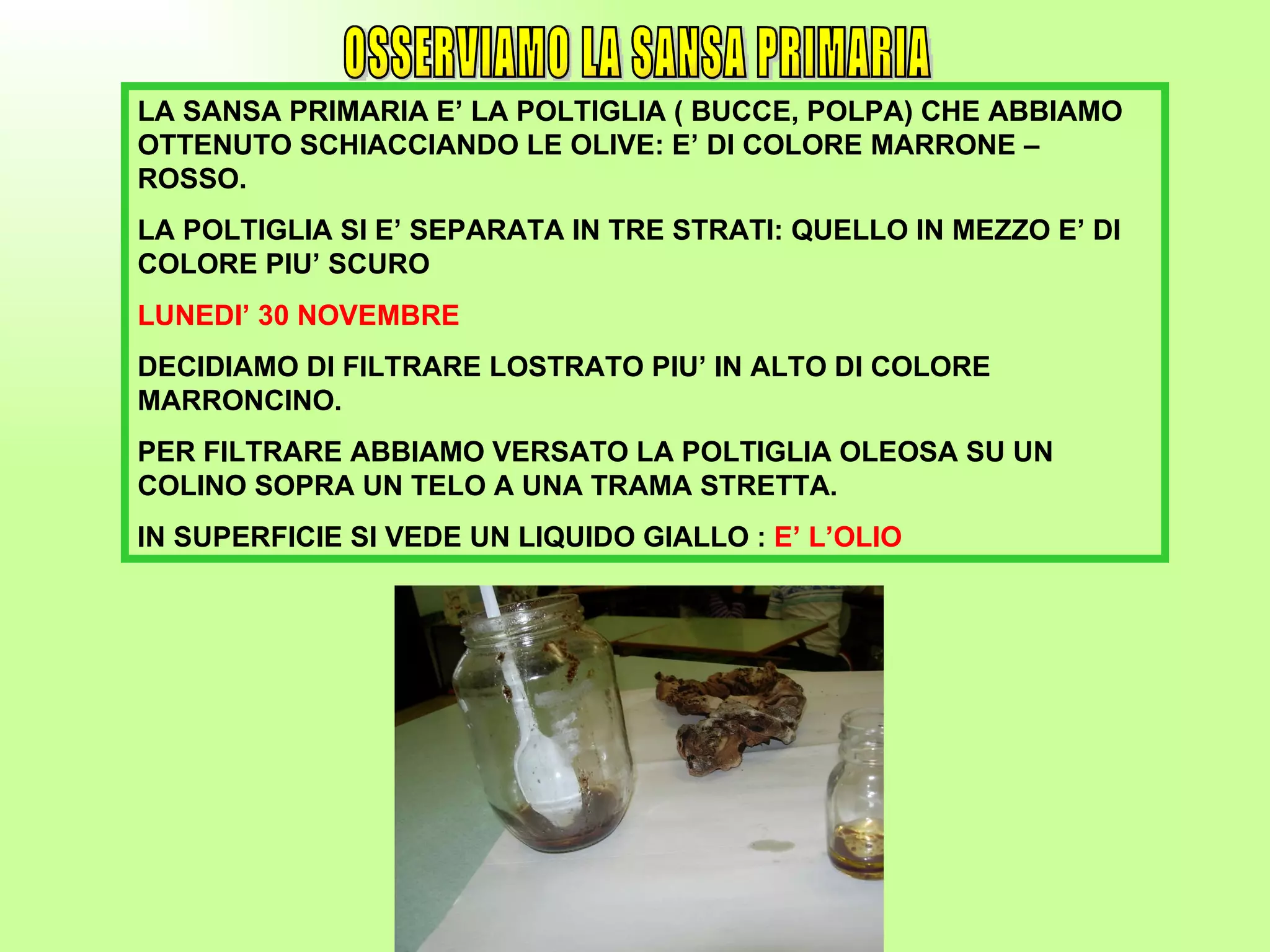 OSSERVIAMO LA SANSA PRIMARIA LA SANSA PRIMARIA E’ LA POLTIGLIA ( BUCCE, POLPA) CHE ABBIAMO OTTENUTO SCHIACCIANDO LE OLIVE: E’ DI COLORE MARRONE – ROSSO. LA POLTIGLIA SI E’ SEPARATA IN TRE STRATI: QUELLO IN MEZZO E’ DI COLORE PIU’ SCURO LUNEDI’ 30 NOVEMBRE DECIDIAMO DI FILTRARE LOSTRATO PIU’ IN ALTO DI COLORE MARRONCINO.  PER FILTRARE ABBIAMO VERSATO LA POLTIGLIA OLEOSA SU UN COLINO SOPRA UN TELO A UNA TRAMA STRETTA. IN SUPERFICIE SI VEDE UN LIQUIDO GIALLO :  E’ L’OLIO 