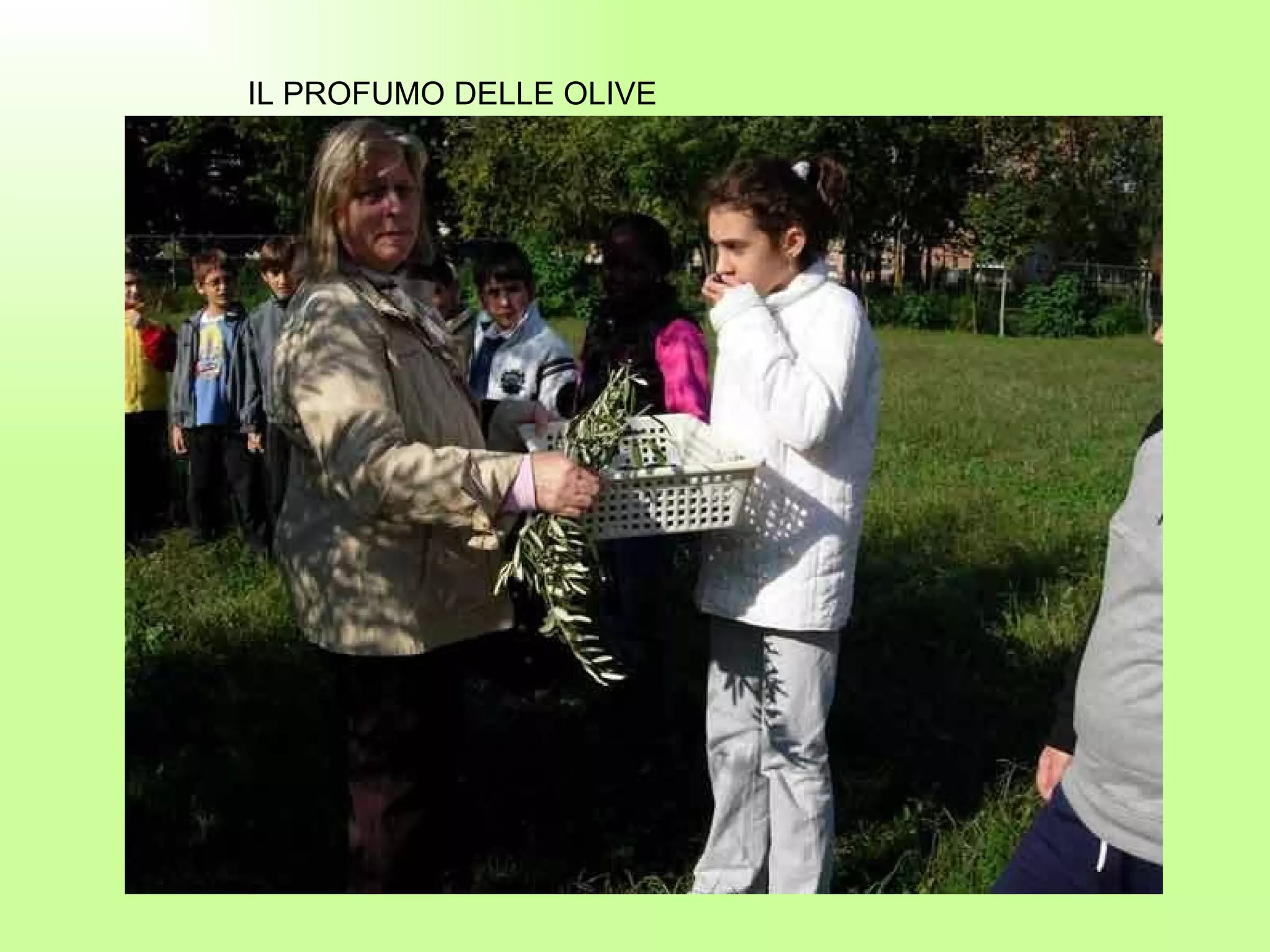 IL PROFUMO DELLE OLIVE 