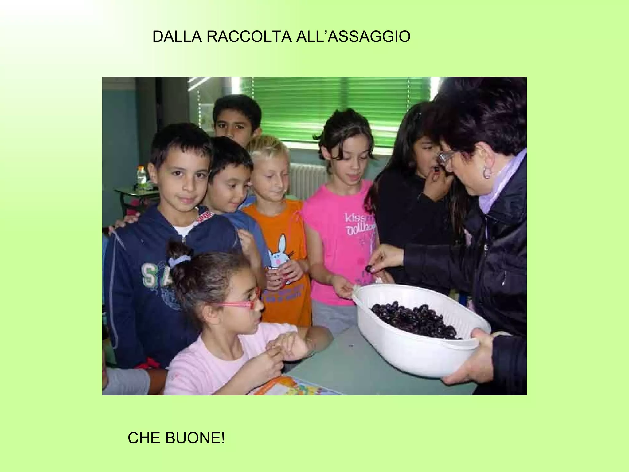 DALLA RACCOLTA ALL’ASSAGGIO CHE BUONE! 