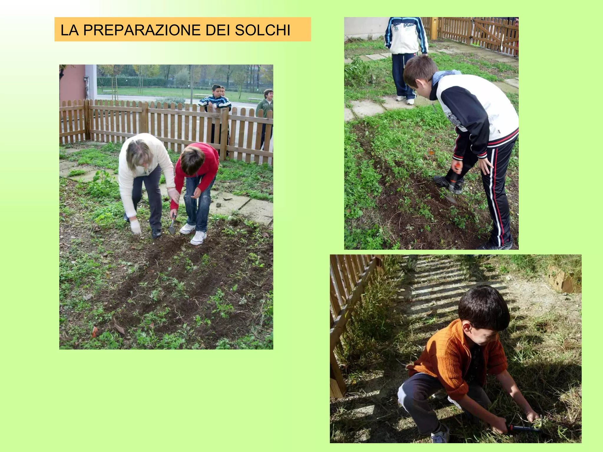 LA PREPARAZIONE DEI SOLCHI 